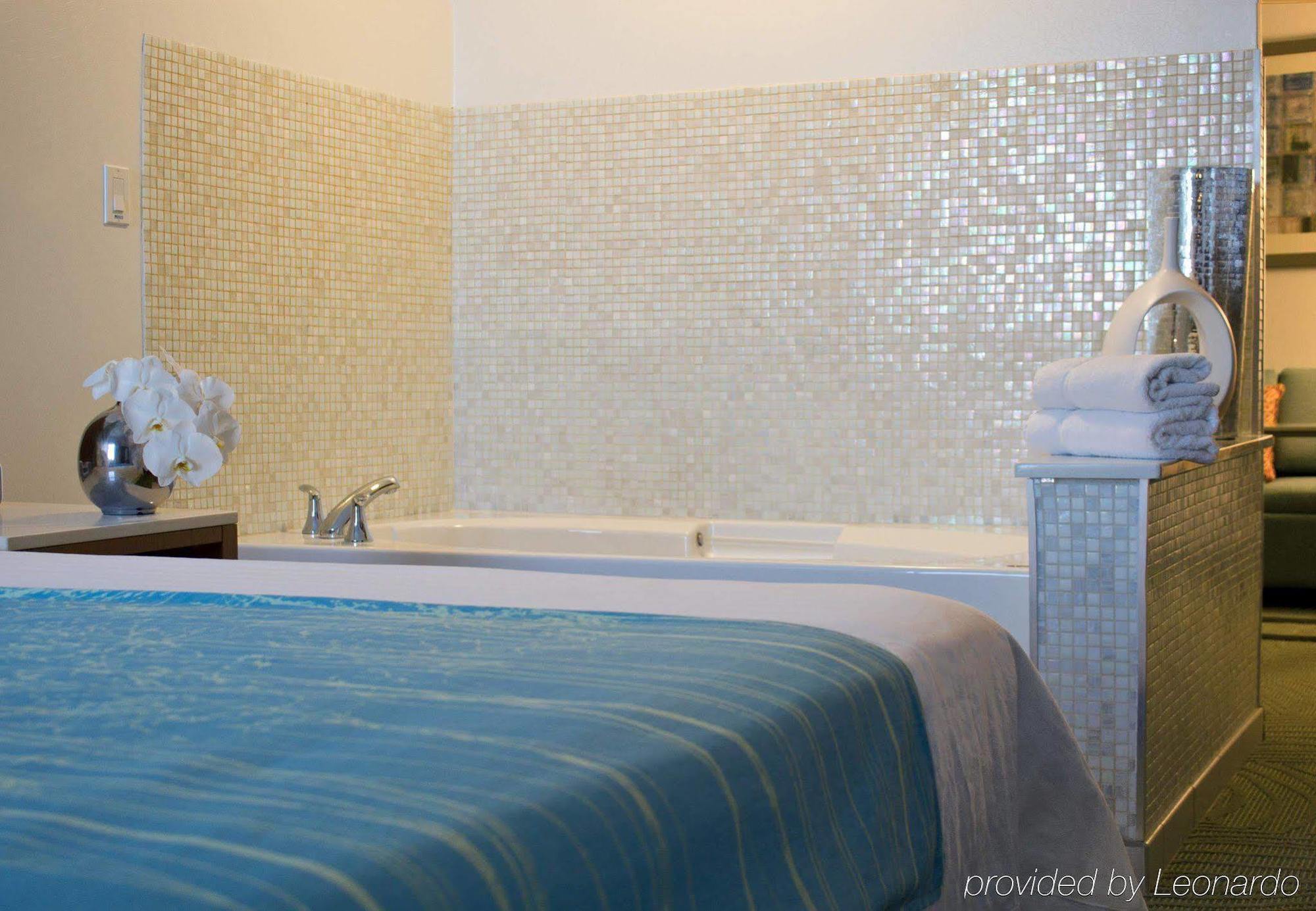 Springhill Suites Cincinnati Airport South Florence Zimmer foto